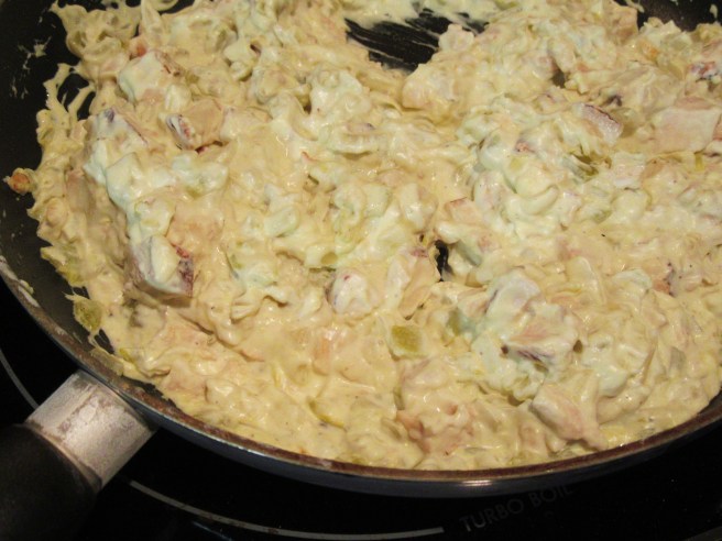 chicken enchilada blog 023.JPG