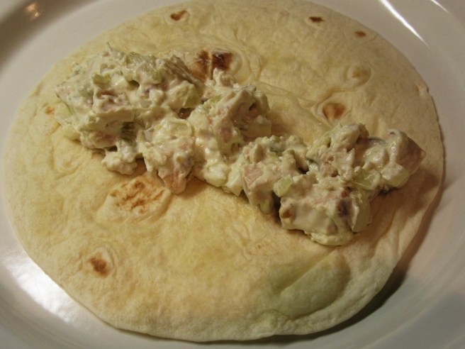 chicken enchilada blog 024.JPG