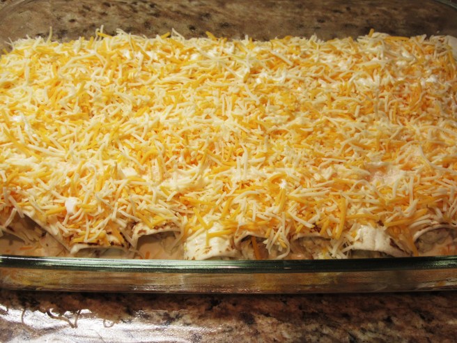 chicken enchilada blog 028.JPG