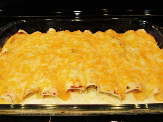 chicken enchilada blog 032.JPG