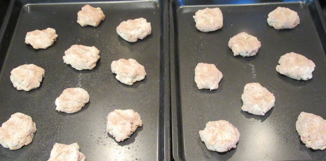 snickerdoodles-009