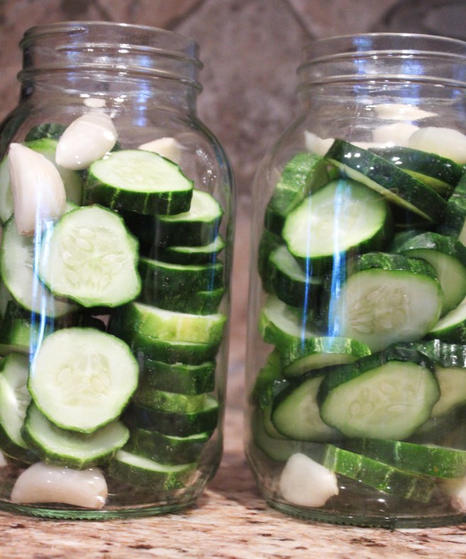 pickleblog-d5-mrpstees 042