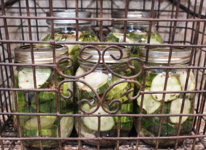 pickleblog-d5-mrpstees 045