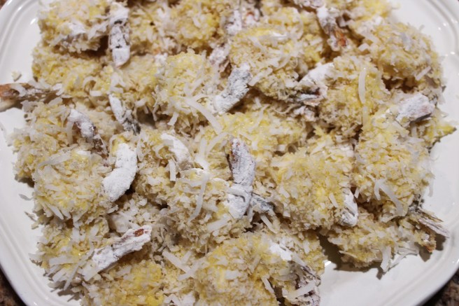 coconutshrimpblog 012