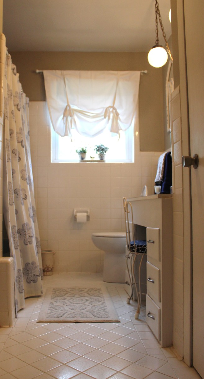 showerblog-mrpstees-bathroomblog 072