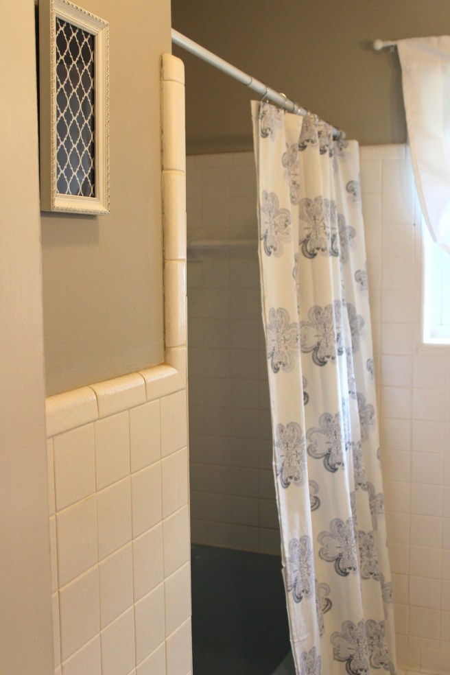 showerblog-mrpstees-bathroomblog 080