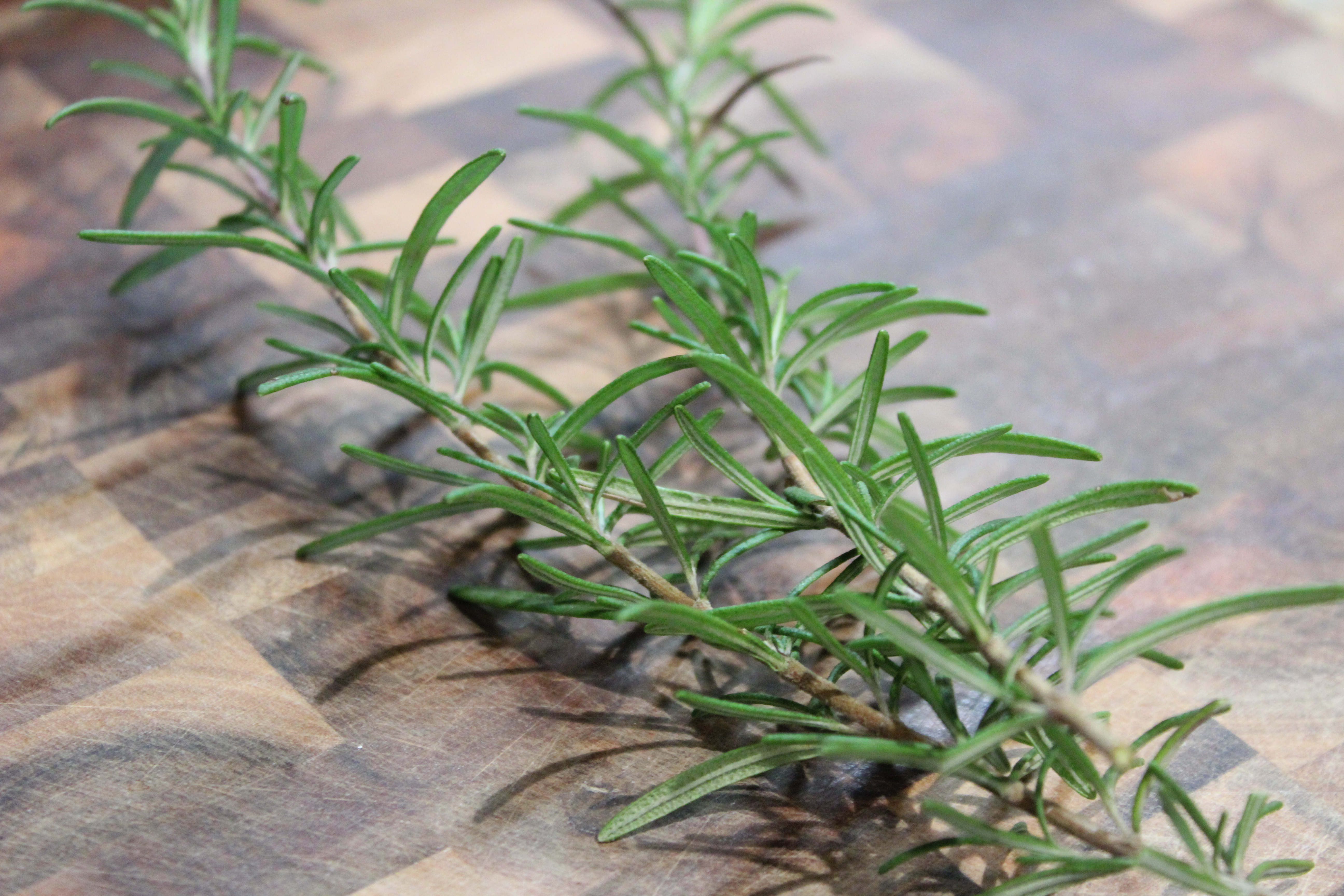 10753507568_img_1162